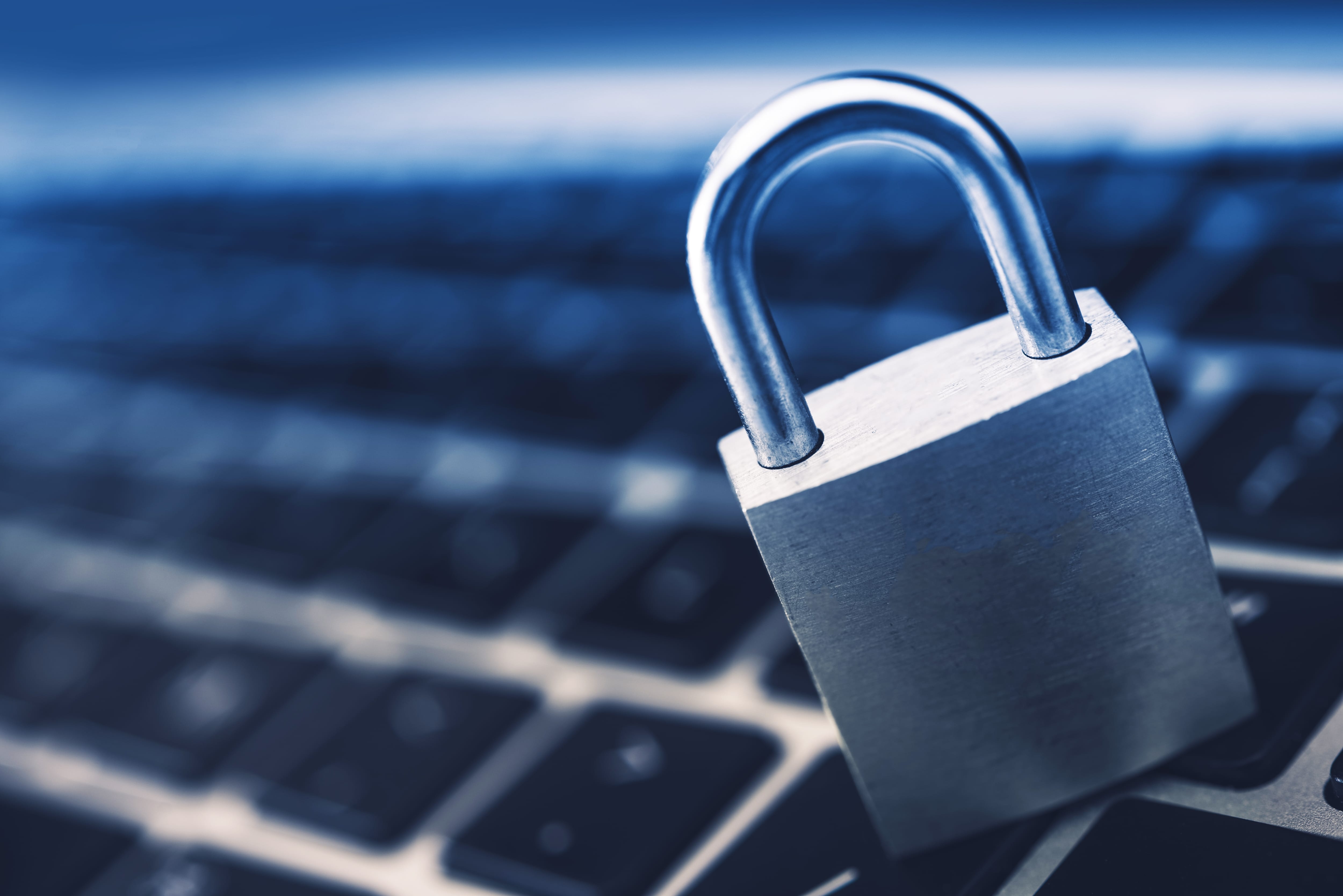 WordPress Security